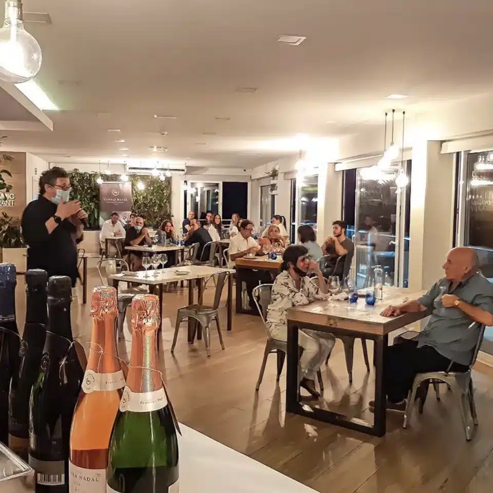 Actividades para grupos Cata de Vinos