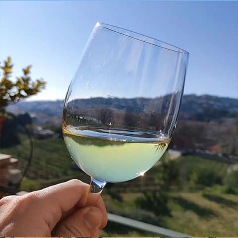 activitats parella catalana cata vins