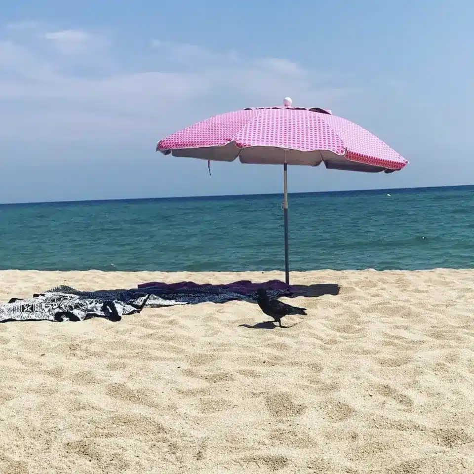 La ubicació real val més que qualsevol oferta