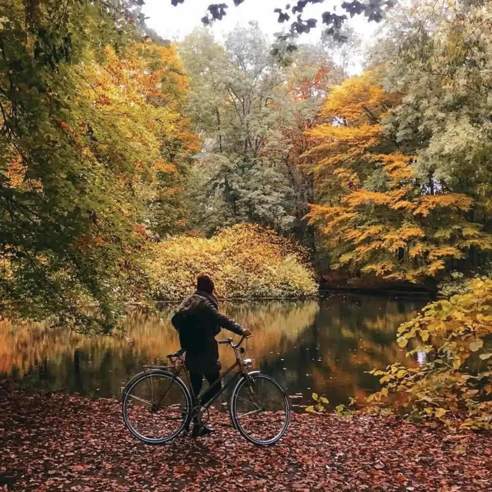 La Fageda d’en Jordà (Garrotxa)