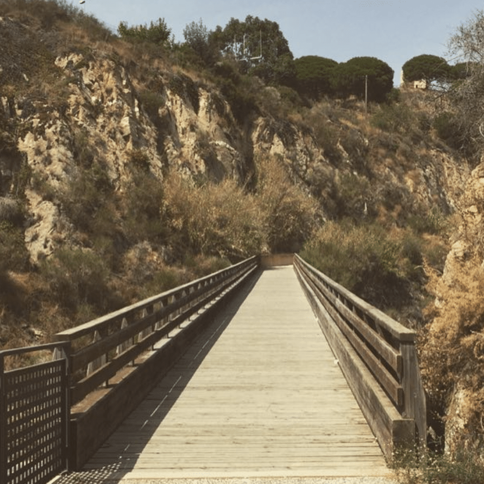 Balenari Maresme
