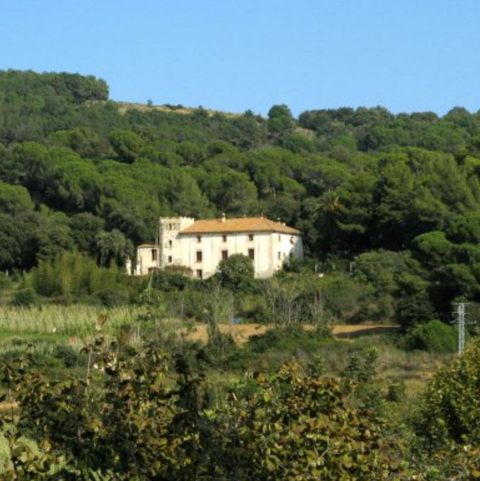 Corre pel Maresme - Arenys de Munt