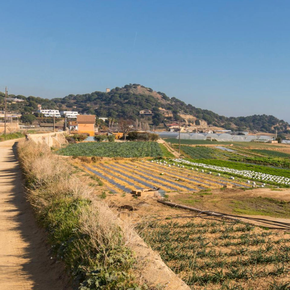Corre pel Maresme - Mataró