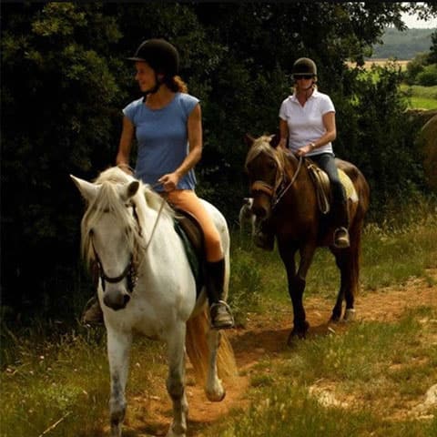 experiència romàntica catalana cavall