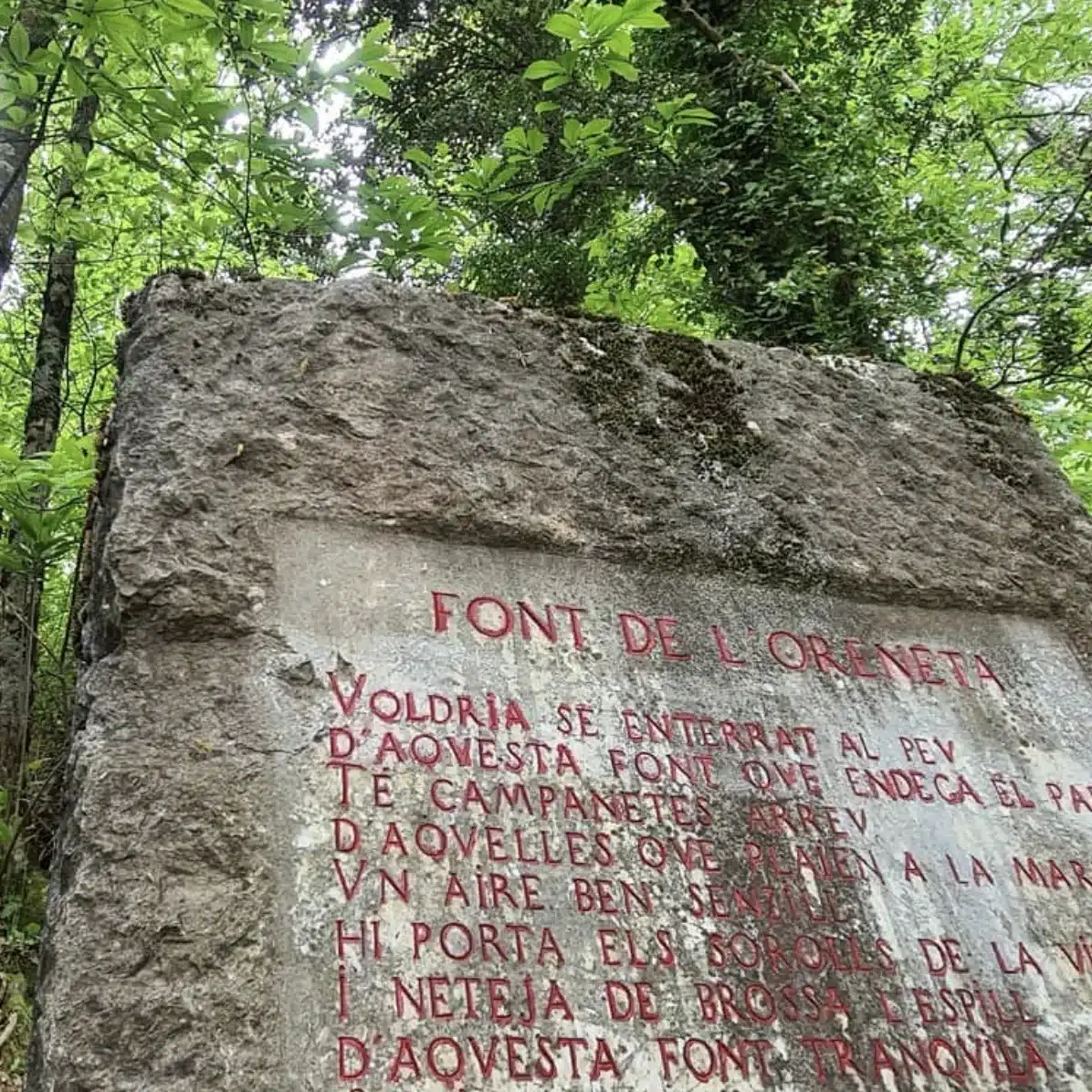 Font de les Orenetes