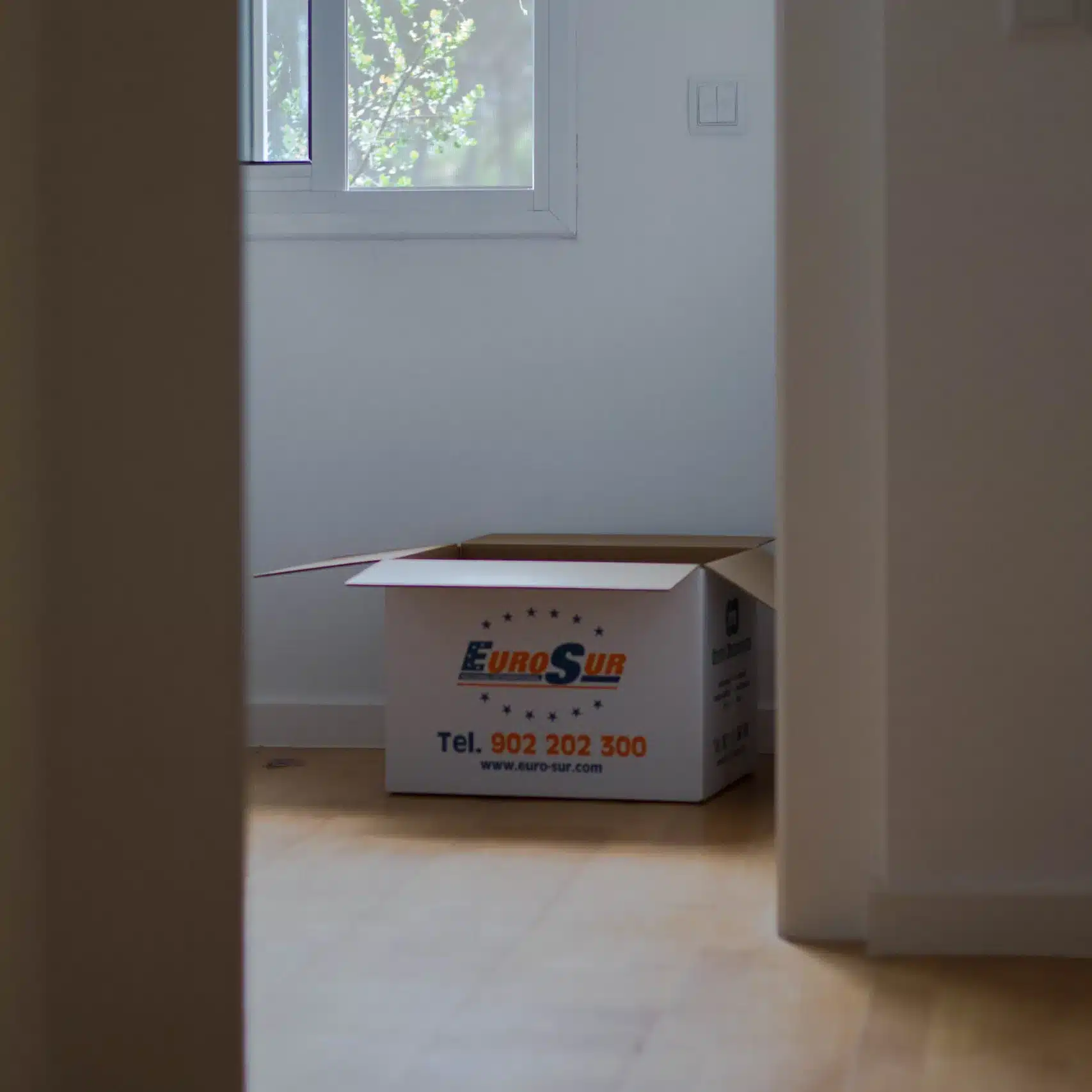 Estàs en plena mudança