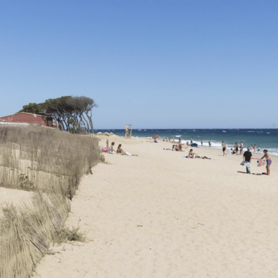 Platja per a gossos Malgrat de Mar