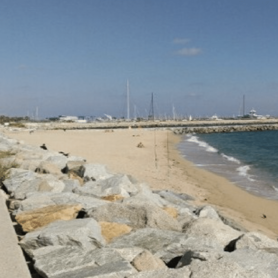 Platja per a gossos Mataró
