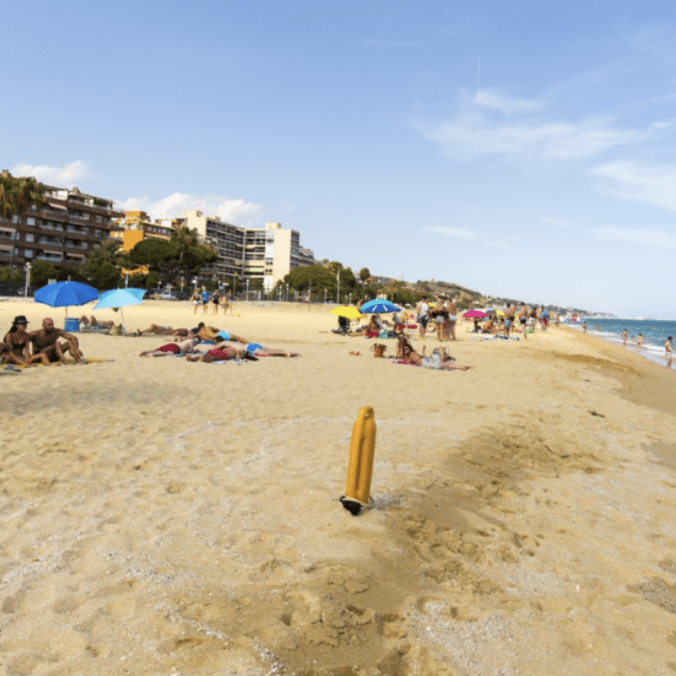 Platja per a gossos Sant Vicenç de Montalt